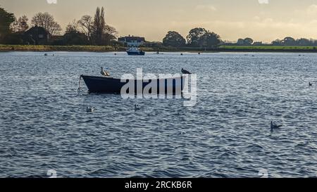 Bosham Hafen und Dorfmeer Sonnenuntergang Reflexionen Tag auf großen Möwen-Himmelsbooten Stockfoto
