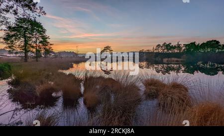 Blick um Frensham Common großer und kleiner Teich im Winter Sonnenuntergang Reflexionen Frost kalt Axt Teich Churt Common Stockfoto