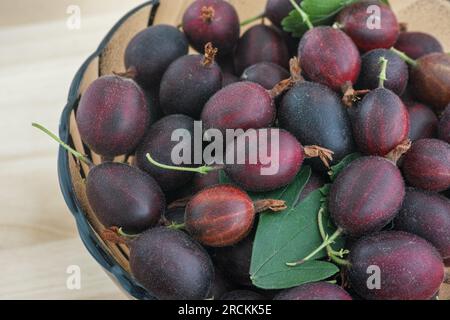 Rote Stachelbeeren in einer Glasschüssel auf einer Holzunterlage. Schließen. Stockfoto