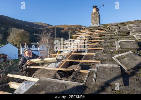 Austausch von Schnoggin bei Dachreparaturen, Wales, Großbritannien Stockfoto
