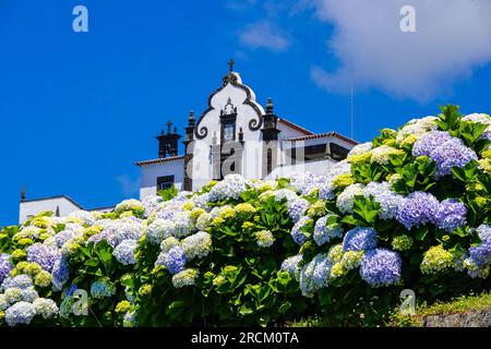 Die Eremitage von Nossa Senhora da Paz oder die Kapelle „Unsere Frau des Friedens“ und Hunderte von wilden Hortensien auf einem Hügel hoch über Vila Franca do Campo auf der Insel Sao Miguel, Azoren, Portugal. Stockfoto