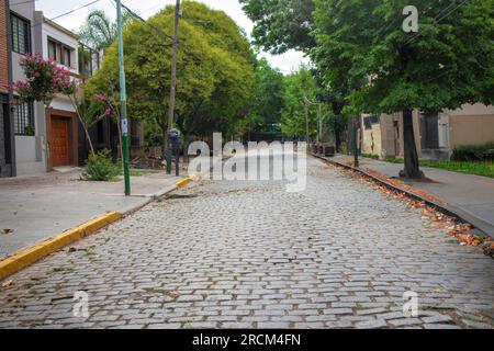 Panorama der gepflasterten Stadtstraße mit Bäumen Stockfoto