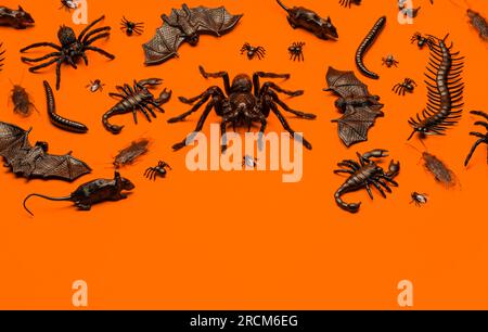 Schwarze, gruselige Bugs und Spinnen an Halloween auf orangefarbenem Hintergrund mit leerem Platz für Text Stockfoto