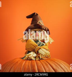 Süße Vogelscheuche, die lächelt und den Stiel eines großen orangen Kürbiss umarmt. Happy Theme für Halloween oder Thanksgiving. Stockfoto