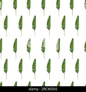 Nahtloses Muster auf weißem Hintergrund. Tropische Blätter in grüner Farbe Hand in Aquarell auf weißem Hintergrund gezeichnet. Geeignet zum Bedrucken von Stoffen Stockfoto