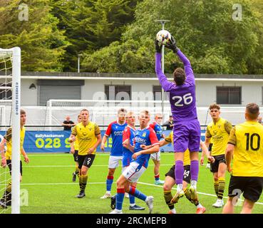 H&W Welders vs. Linfield, Samstag, 15. Juli 2023, Blanchflower Stadium, Belfast. Stockfoto