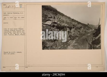 Blick auf die Straße nach Combres in Mause, Frankreich, mit Dugouts und Tarnung. Aufgenommen am 22. November 1918. Dieser Sektor wurde im Oktober von der Abteilung 79. besetzt. Fotografiert von Sergeant Morris Pineberg, Signal Corps. Bildnummer 111-SC-34129 von den amerikanischen Expeditionstruppen. Ausgestellt von Mo. Ewid und vom A.E.F.-Zensor, Datum unbekannt." Stockfoto