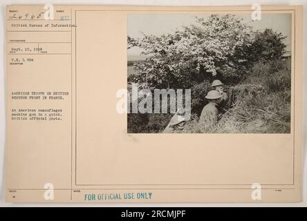 Amerikanische Soldaten verstecken und tarnen ein Maschinengewehr in einem Gulch an der britischen Westfront in Frankreich, 10. September 1918. Dieses Foto wurde vom British Bureau of Information aufgenommen und ist als offizielles britisches Foto gekennzeichnet. NUR ZUR AMTLICHEN VERWENDUNG. Stockfoto