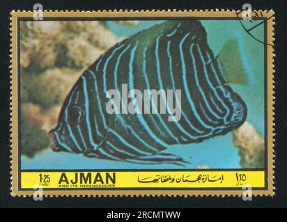 AJMAN - CIRCA 1972: Stempel gedruckt von Ajman, zeigt Fisch, circa 1972 Stockfoto