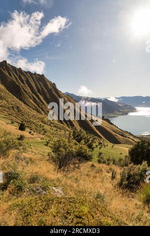 Von den oberen Hängen des Isthmus Peak Walk aus blickt man auf den Hawea-See Stockfoto