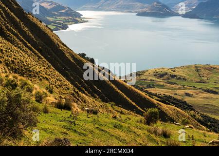 Von den oberen Hängen des Isthmus Peak Walk aus blickt man auf den Hawea-See Stockfoto