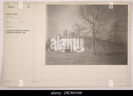 Soldaten des Chemiekriegsdienstes im Edgewood Arsenal in Maryland. Stockfoto