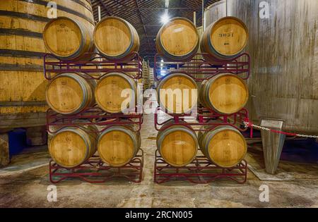 Echte Companhia Velha Fässer von Port in ihrem Keller, Porto, Portugal Stockfoto