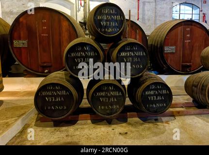 Echte Companhia Velha, Fässer von 10 Jahre altem Hafen in ihrem Keller, Porto, Portugal. Stockfoto