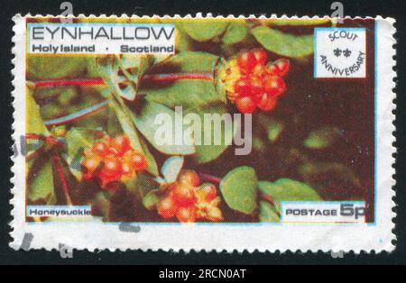 GROSSBRITANNIEN - CA. 1983: Stempel gedruckt von Großbritannien, zeigt Honigsauger, ca. 1983 Stockfoto