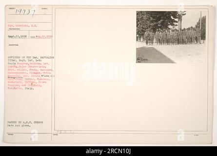 Gruppenfoto von Offizieren des 2. Bataillons, 332. Regiment Infanterie, aufgenommen am 15. August 1918 in Borghetto, Italien. Auf dem Foto sind Captains Demprey und Meldrum, 1. Lieutenants Sales Chamberlain, Hrye, Miller, Craig, Queensen, Moldenhouser, Clinger, Pubin Connelly, 2. Lieutenants Laim und Rendega. Ausgestellt und angenommen von der A.E.F. Zensor, kein Datum angegeben. Stockfoto