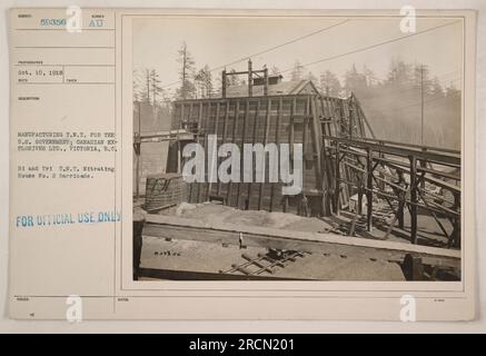 "Herstellung von T.N.T. für die USA Regierung bei Canadian Explosives Ltd. In Victoria, B.C. Foto aufgenommen am 10. Oktober 1918. Die Abbildung zeigt den B1 und TRI T.N.T. Nitrathaus Nr. 2 Barrikade. Dieses Foto hat die Referenznummer 59356 und ist nur zur amtlichen Verwendung bestimmt." Stockfoto