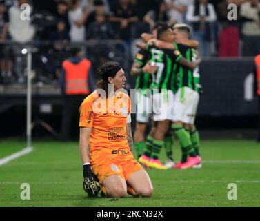 Sao Paulo, Brasilien. 15. Juli 2023. Feier während des Spiels zwischen Corinthians und America mg in der Neo Quimica Arena in Sao Paulo, Brasilien (Fernando Roberto/SPP) Kredit: SPP Sport Press Photo. Alamy Live News Stockfoto