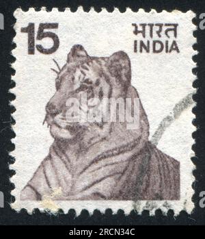 INDIEN - CA. 1965: Indischer Stempel, Tiger, ca. 1965 Stockfoto