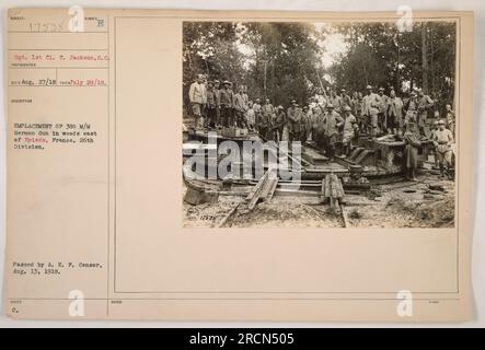 Bildunterschrift: Sgt. 1. Cl. C. Jackson hat dieses Foto am 28. Juli 1918 aufgenommen. Das Bild zeigt den Standort einer deutschen Pistole mit 380 M/M im Waldgebiet östlich von Epieds in Anwesenheit der 26. Division. Es wurde von der A.E.F. geprüft und genehmigt Zensor am 13. August 1918. Stockfoto