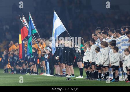 Sydney, Australien. 15. Juli 2023. Australische und argentinische Spieler treffen sich vor dem Spiel eToro Rugby Championship 2023 zwischen Australien und Argentinien im CommBank Stadium am 15. Juli 2023 in Sydney, Australien. Gutschrift: IOIO IMAGES/Alamy Live News Stockfoto