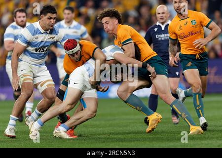 Sydney, Australien. 15. Juli 2023. Mateo Carreras aus Argentinien wird am 15. Juli 2023 beim eToro Rugby Championship 2023 zwischen Australien und Argentinien im CommBank Stadium in Sydney, Australien, angegriffen. Credit: IOIO IMAGES/Alamy Live News Stockfoto