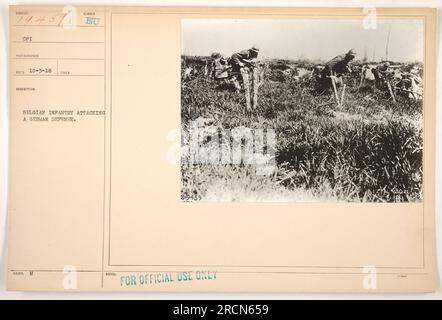 Belgische Infanteriesoldaten starteten einen Angriff auf eine deutsche Verteidigung im Ersten Weltkrieg. Dieses Foto wurde von einem CPI-Fotografen aufgenommen und unter der Beschreibungsnummer 19459 ausgestellt. Bitte beachten Sie, dass dieses Bild nur für den offiziellen Gebrauch bestimmt ist. Stockfoto