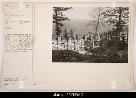 CPL. Keen Polk, S. C. fotografierte am 13. Dezember 1918 einen deutschen Friedhof im Argonne-Wald. Der Friedhof hatte ein einzigartiges Merkmal: Einen Zaun und Kreuze aus weißen Birkengliedmaßen. Soldaten des 302. Feldsignalbataillons, 77. Division, sehen sich die deutschen Namen an. In der Nähe von Abri du Cruchet, Argonne, Maas, Frankreich. Herausgegeben vom A.E.P. Zensor. Hinweise: 471. Stockfoto