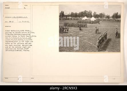 Erstes Bataillon, 310. Ingenieure, die vor Major General Ironsides, Brite, die Alliierten in Nordrussland befehligen, zusammen mit Brigadegeneral W.P. Richardson, USA, und Lieutenant Colonel P.S. Morris, kommandierender Offizier der 310. Ingenieure. Andere Offiziere und Männer mit Dekoration sind ebenfalls anwesend, ebenso amerikanische und britische Offiziere. Das Foto wurde am 14. Juni 1919 in Solombola, Russland, aufgenommen. Stockfoto