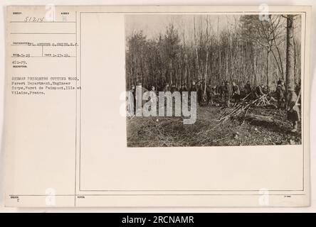 Deutsche Kriegsgefangene werden im Foret de Paimpont in Ille et Vilaine, Frankreich, beim Holzschneiden gezeigt. Diese Szene zeigt ihre Beteiligung an der Forstabteilung des Ingenieurkorps. Das Foto wurde vom Fotografen Arthur C. Smith am 17. Januar 1919 aufgenommen und entspricht der negativen Zahl 51214. Stockfoto