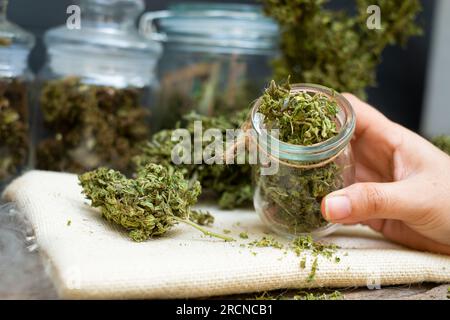 Weibliche Hand, die eine transparente Glasflasche mit Marihuana-Blumen in der Hand hält Stockfoto