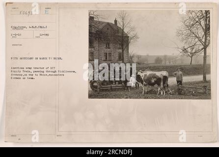 Amerikanischer Armeetraktor aus dem 107. Vorratszug durch Pickliessem, Deutschland auf dem Weg zum Rhein. Der Traktor trifft auf ein deutsches Ochsenteam. Datum: 1. Februar 1919. SIG Corps, A.E.F. (verpflichtete). Foto von Fotograf E. T. am 5. Dezember 1912. Stockfoto