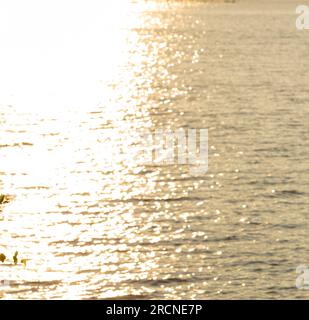 Die Wasseroberfläche reflektiert das Sonnenlicht in Gold, das Bild ist verschwommen, nicht scharf. Die Bildausrichtung kann als Hintergrund oder Grafik verwendet werden. Stockfoto