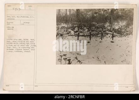 Gräber von vier Soldaten der 327. Regimentalen Infanterie, 82. Division, die ihr Leben verloren, als sie Sergeant Alvin C. York und 13 weitere Soldaten desselben Regiments bei der Gefangennahme von 132 deutschen Soldaten unterstützten. Das Foto wurde im Argonne-Wald in der Nähe von Cornay, Ardennen, Frankreich, aufgenommen. Stockfoto