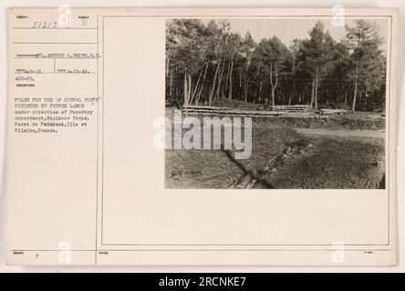 Das Foto zeigt die Fertigstellung der Signalkorps-Pole durch französische Arbeiter unter der Leitung des Forstministeriums, Ingenieurkorps im Foret de Paimpont, Ille et Vilaine, Frankreich. Das Foto wurde am 17. Januar 1919 aufgenommen. Dieses Bild ist Teil der Sammlung, die Gefangener Arthur O. Smith, Signal Corps Reconnaissance, während des Ersten Weltkriegs aufgenommen hat. Stockfoto