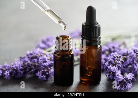 Zwei Flaschen ätherisches Aromatherapie-Öl mit frischen Lavendelblumen und einem Tropfer Stockfoto