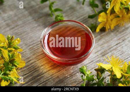 Rotes Öl aus St. Johanniswürzblüten, geerntet im Sommer Stockfoto
