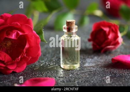 Eine transparente Flasche ätherisches Öl mit roten Rosenblüten auf dunklem Hintergrund Stockfoto