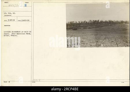 Foto mit dem Namen Bois De Cunel in Mause, Frankreich. Das Bild wurde am 20. November 1918 von LT. Fox, SC, aufgenommen. Die Aussicht zeigt nordwestlich und zeigt die Umgebung in der Nähe der Madeleine Farm. Dieses Foto ist in der Sammlung 40072 mit Nummer 188 beschriftet. Stockfoto