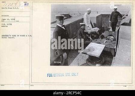 Soldaten, die Schafe an Bord eines US-Bundesstaates pflegen Marineschiff im Ersten Weltkrieg. Dieses Foto mit der Nummer 11754 wurde am 14. Juni 1918 aufgenommen und vom C.P.I.-Fotografen erhalten. Es wurde nur zur amtlichen Verwendung ausgestellt. Stockfoto