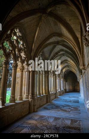 Kloster, Zisterzienserkloster Santa Maria de la Oliva, Carcastillo, Navarra, Spanien Stockfoto