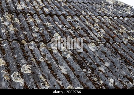 Das alte Schieferdach ist mit grünem Moos und trockenem Laub bedeckt. Das Konzept des Dachersetzens. Dachreparatur. Stockfoto