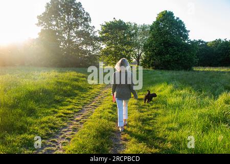 Ein Mädchen nimmt ihren Welpen am frühen Abend an einem Sommertag mit auf einen Spaziergang in einem Londoner Park Stockfoto