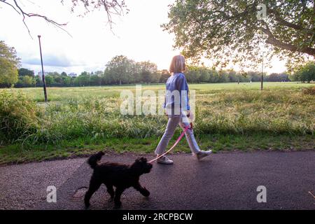 Ein Mädchen nimmt ihren Welpen am frühen Abend an einem Sommertag mit auf einen Spaziergang in einem Londoner Park Stockfoto