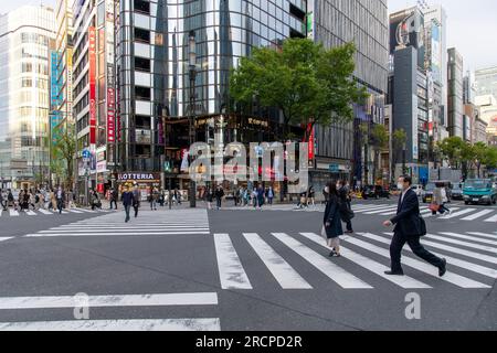 Tokio, Japan - April 2023; Fußgängerüberquerung an einer der geschäftigen Kreuzungen im Einkaufsviertel Ginza mit Menschen auf der Überquerung und umgeben von Stockfoto