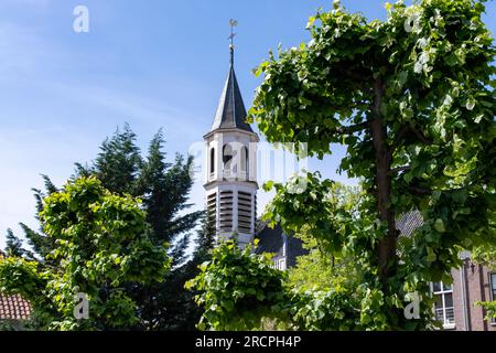 Amersfoort, Niederlande - Juni 2022; aus nächster Nähe aus dem Tiefpunkt des hölzernen Kirchturms der Elleboogkerk (Elbow Church), der von den Gipfeln der aus gesehen wird Stockfoto