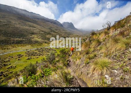 Wandern in hohen Bergen in Kolumbien, Südamerika Stockfoto