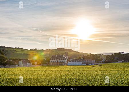 Reportage photos en montgolfière au-dessus de Pommard avec France Montgolfières. Fotobericht in einem Heißluftballon über Pommard mit Frankreich Montgolfi Stockfoto