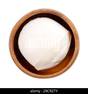 Großer Mozzarella-Ball, in einer Holzschüssel. Süditalienischer Frischkäse aus Milch nach der Pasta-filata-Methode. Wird für Pizza usw. verwendet Stockfoto