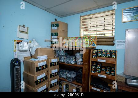 El Espino, La Libertad, El Salvador - 11 2022. Oktober: Ein Haufen Pappkartons mit Kaffee mit einem Schild mit der Aufschrift „El Espino Coop“ vor der Blauen Mauer Stockfoto